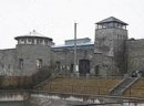  (Mauthausen), 