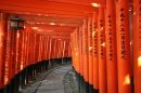     (Fushimi Inari Taisha), 