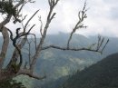         (Blue Mountains and John Crow Mountains National Park), 