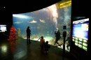     (Aquarium and zoological museum), 