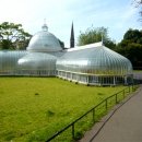    (Glasgow Botanic Gardens), 