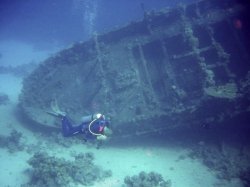      (Red Sea Dive Sites), 