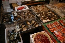    (Tsukiji fish market), 