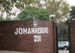   (Johannesburg Zoo), 