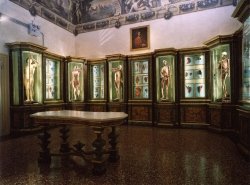     (Museo di Palazzo Poggi), 
