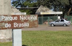    (Brasília National Park), 